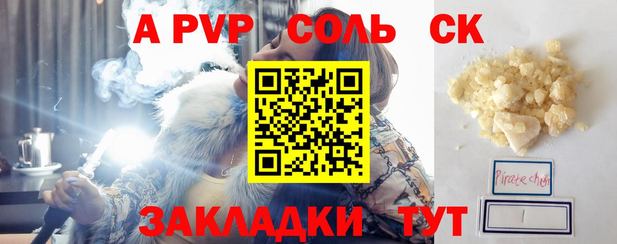 Альфа ПВП СК Шали